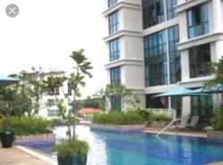 dunman-view photo thumbnail #3